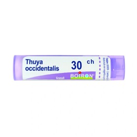Thuya Occidentalis 30 Ch Globuli 1G