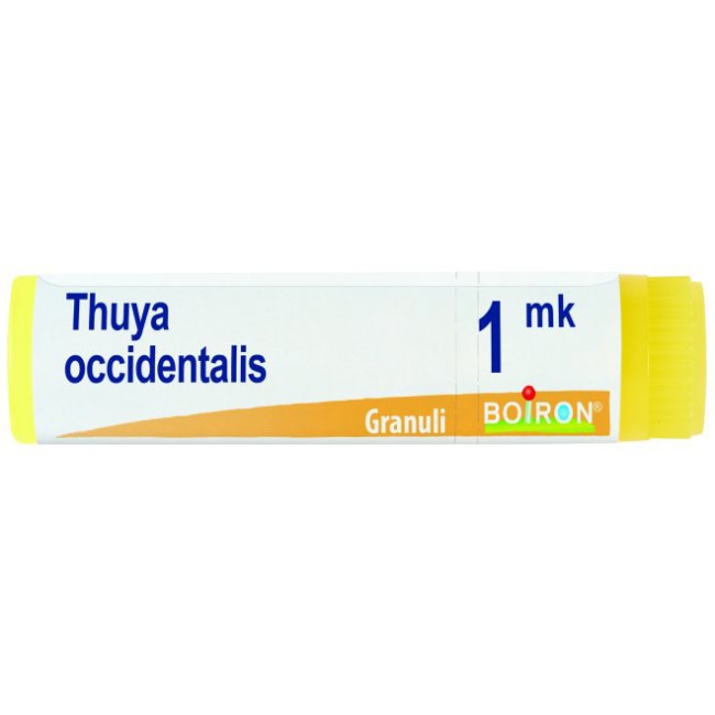Thuya occidentalis mk globuli
