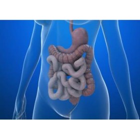 Carnitene L-Carnitina Trattamento delle deficienze di carnitina Carnitene L-Carnitina Trattamento delle deficienze di carnitina