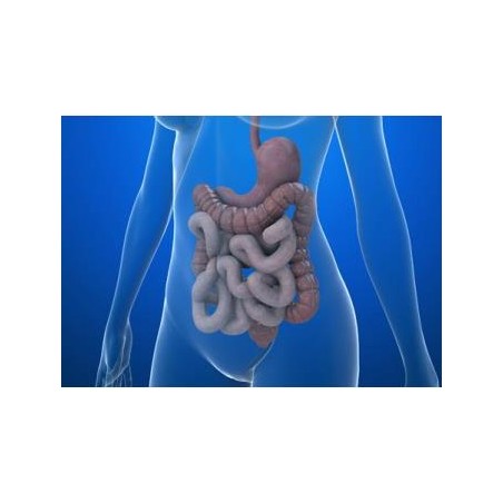 Carnitene L-Carnitina Trattamento delle deficienze di carnitina Carnitene L-Carnitina Trattamento delle deficienze di carnitina