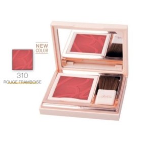 Bionike Defence Color Pretty Touch Fard Compatto 310 Rouge Framboise