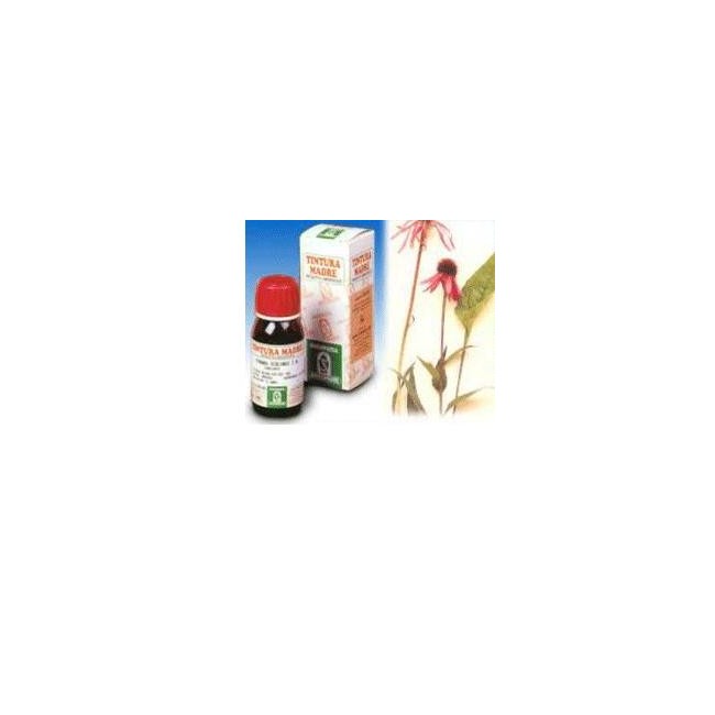 Echinacea 59 50ml tm