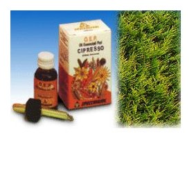 Cipresso olio essenziale puro 10 ml