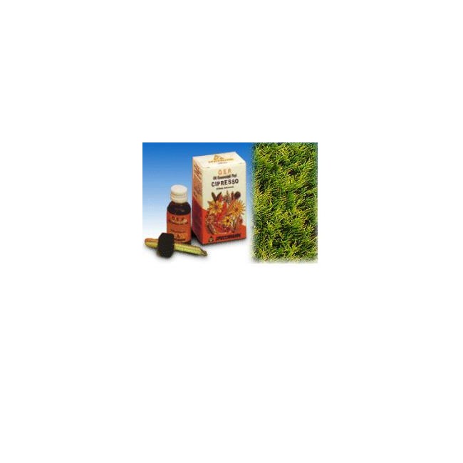 Cipresso olio essenziale puro 10 ml Cipresso olio essenziale puro 10 ml