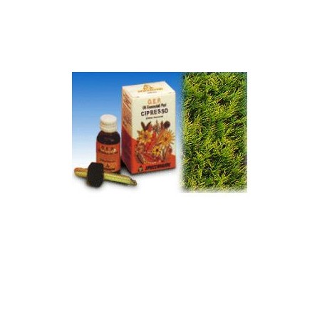 Cipresso olio essenziale puro 10 ml
