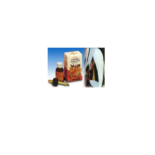 Eucalipto olio essenziale 10 ml Eucalipto olio essenziale 10 ml
