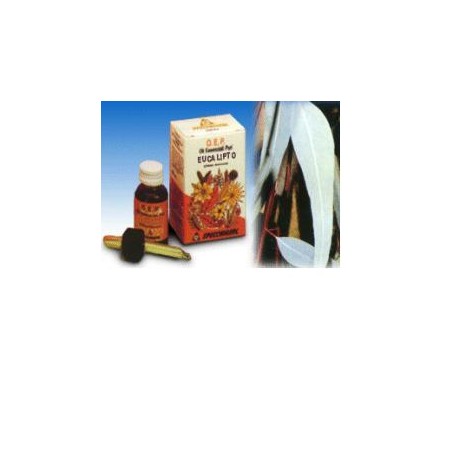 Eucalipto olio essenziale 10 ml