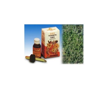 Timo olio essenziale puro 10 ml