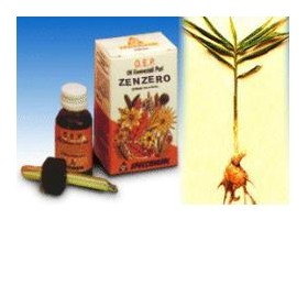 Zenzero olio essenziale puro 10 ml