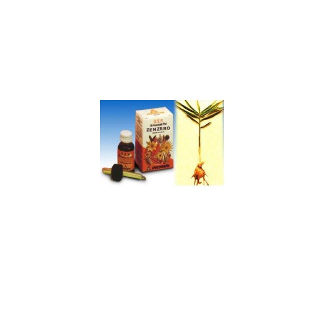 Zenzero olio essenziale puro 10 ml Zenzero olio essenziale puro 10 ml