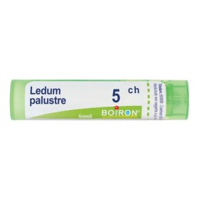 Ledum Palustre 5 Ch Granuli