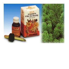 Specchiasol Pino Silvestre Olio Essenziale Puro 10 Ml