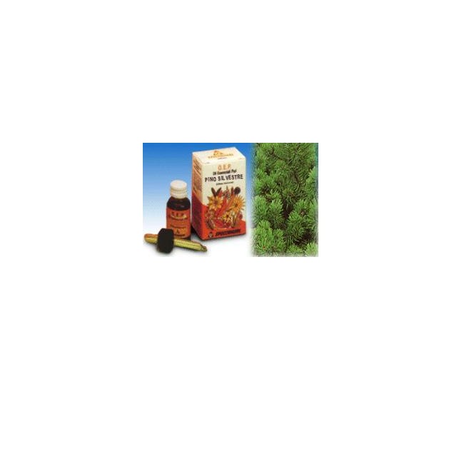 Specchiasol Pino Silvestre Olio Essenziale Puro 10 Ml Specchiasol Pino Silvestre Olio Essenziale Puro 10 Ml