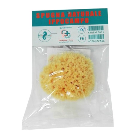 Farvisan Spugna Naturale Ippocampo 6 Farvisan Spugna Naturale Ippocampo 6