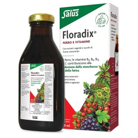 Salus Haus Floradix Ferro E Vitamine 250 Ml