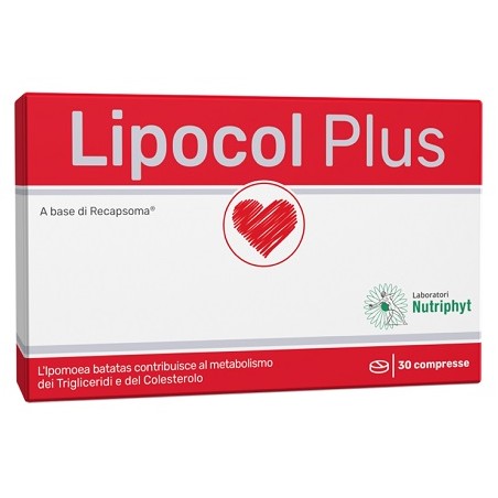 ANVEST HEALTH SpA SOC. BENEFIT Lipocol Plus 30 Compresse ANVEST HEALTH SpA SOC. BENEFIT Lipocol Plus 30 Compresse