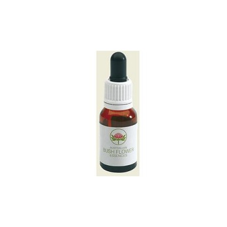 Australian Bush Flower Essences Fringed Violet Gocce 15 Ml