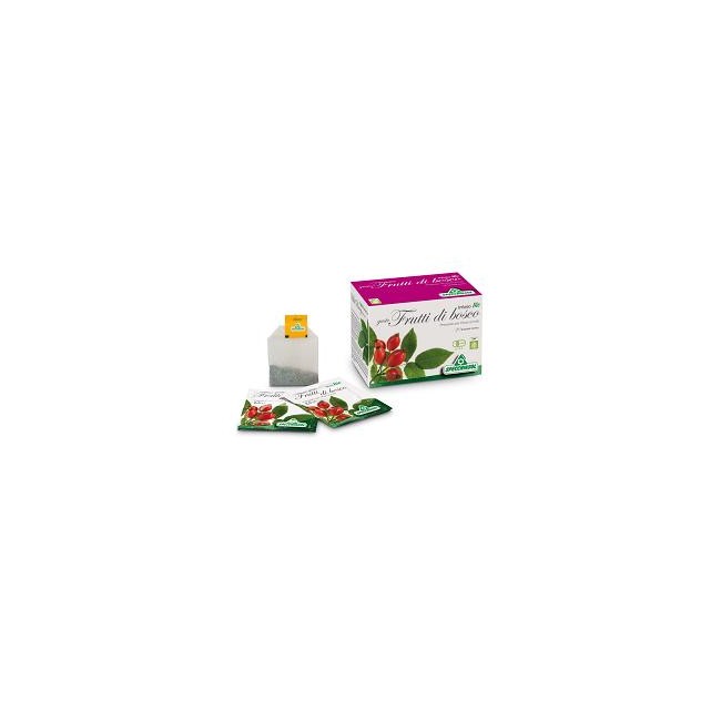 Infuso bio frutta frutti di bosco 20 filtri