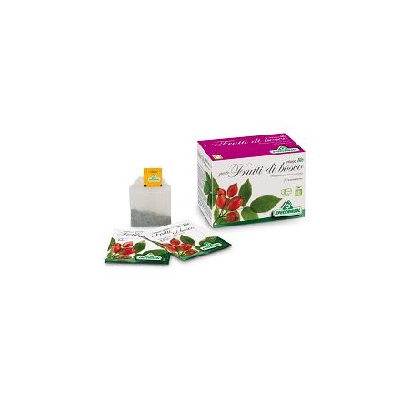 Infuso bio frutta frutti di bosco 20 filtri