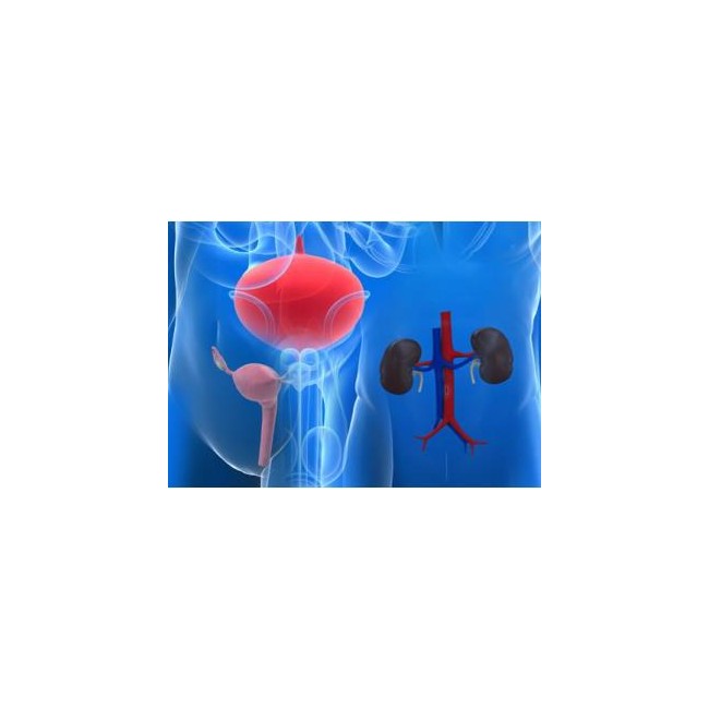 Meclon soluzione vaginale 200 mg/10 ml + 1 g/130 ml Clotrimazolo Metronidazolo - confezione Meclon soluzione vaginale 200 mg/10 ml + 1 g/130 ml Clotrimazolo Metronidazolo - confezione