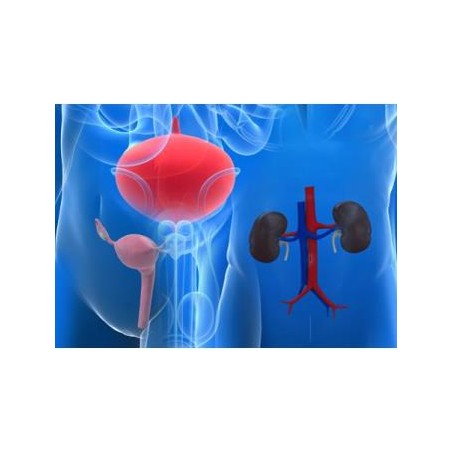 Meclon soluzione vaginale 200 mg/10 ml + 1 g/130 ml Clotrimazolo Metronidazolo - confezione Meclon soluzione vaginale 200 mg/10 ml + 1 g/130 ml Clotrimazolo Metronidazolo - confezione