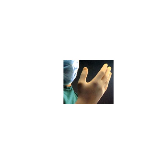 Guanto chirurgico sterile in lattice misura 7 Guanto chirurgico sterile in lattice misura 7