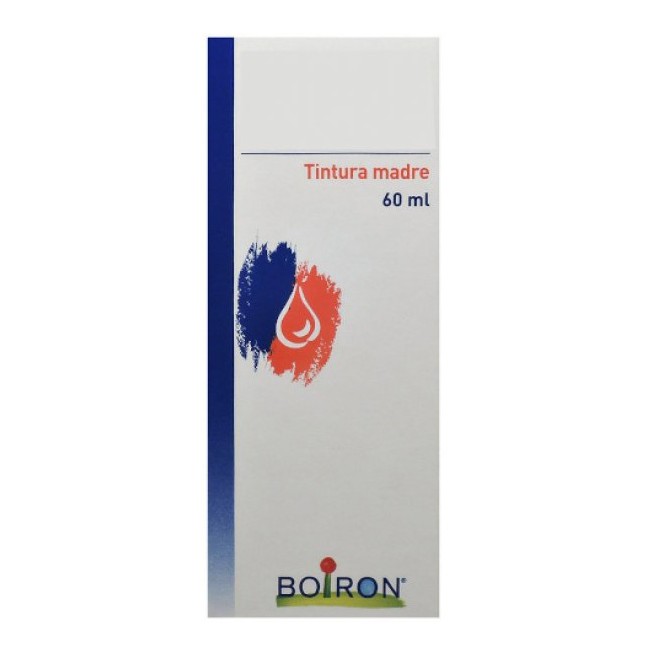 Taraxacum Tintura Madre 60 Ml
