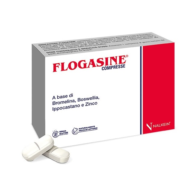 Nalkein Pharma Flogasine 20 Compresse