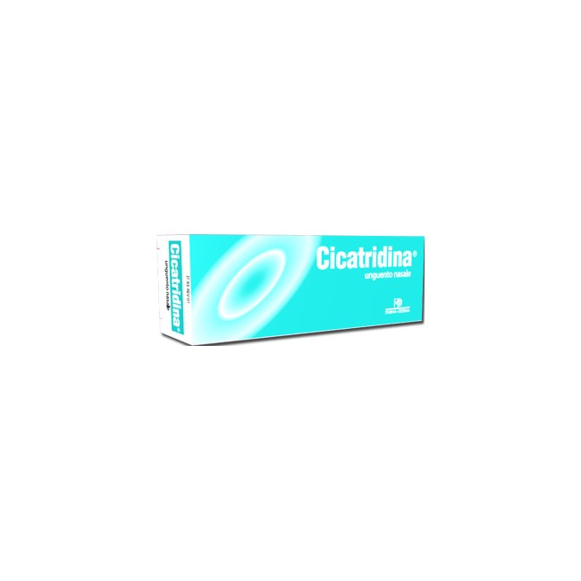 Farma-Derma Cicatridina Unguento Nasale 15 G