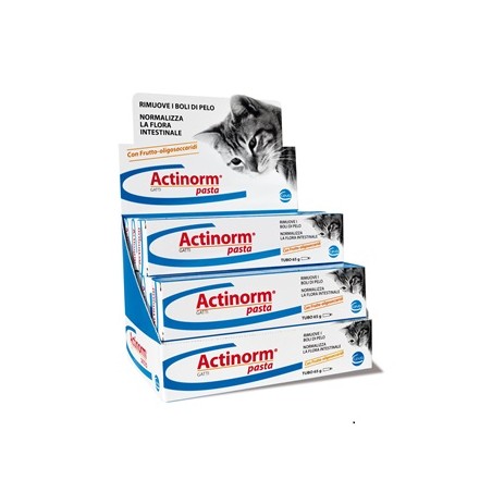 Actinorm Pasta Gatti 65 G