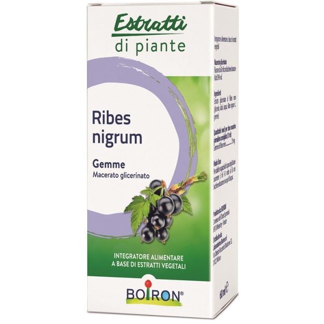 Ribes Nigrum Boiron Macerato Glicerico 60 Ml Ribes Nigrum Boiron Macerato Glicerico 60 Ml