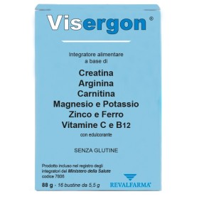 Revalfarma Visergon 16 Bustine 5,5 G