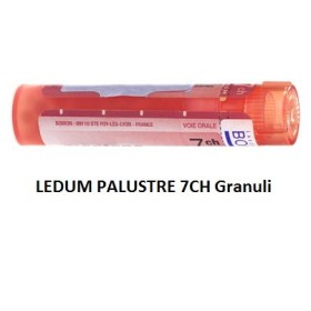Ledum palustre 7 ch granuli