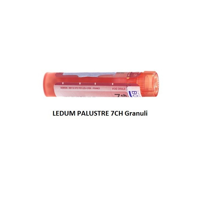 Ledum palustre 7 ch granuli Ledum palustre 7 ch granuli