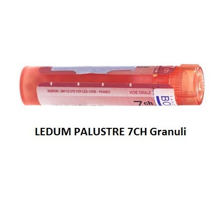 Ledum palustre 7 ch granuli Ledum palustre 7 ch granuli