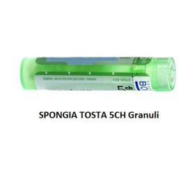 Spongia tosta 5 ch granuli