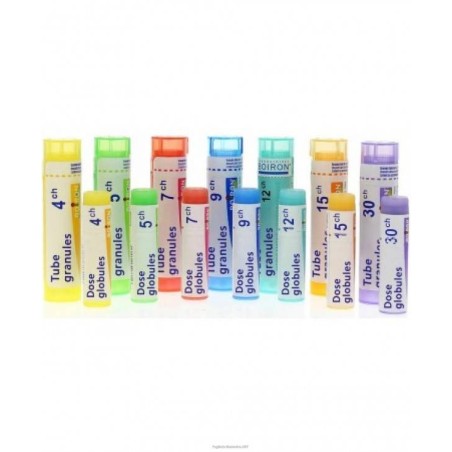 Boiron Natrum Sulfuricum 200CH Rimedio omeopatico in granuli 4 g Boiron Natrum Sulfuricum 200CH Rimedio omeopatico in granuli 4 g