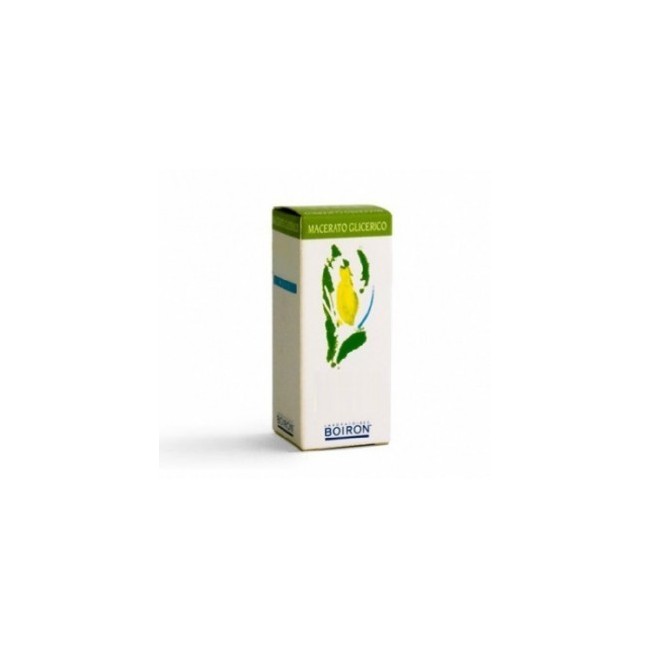 Boiron Abete Bianco Macerato glicerico