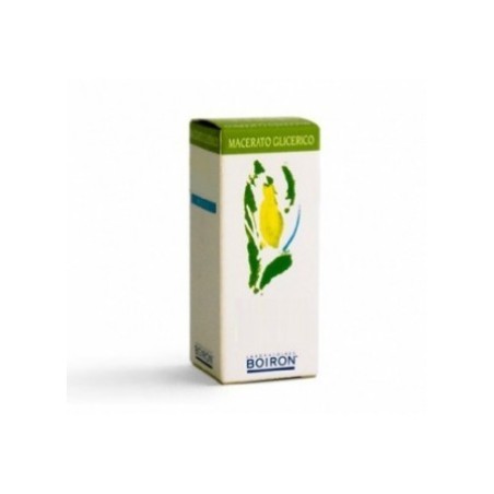 Boiron Abete Bianco Macerato glicerico