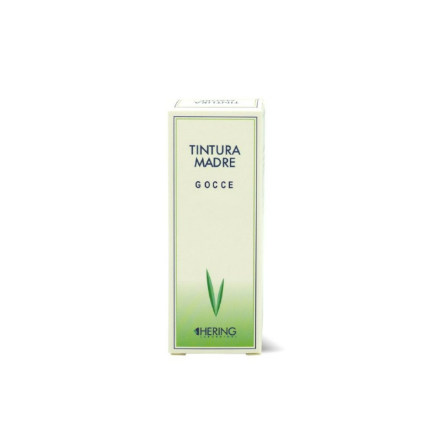 Fucus vesiculosus 60ml tm Fucus vesiculosus 60ml tm