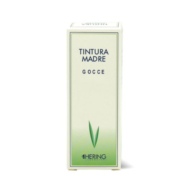 Taraxacum dens leonis 60ml tm Taraxacum dens leonis 60ml tm