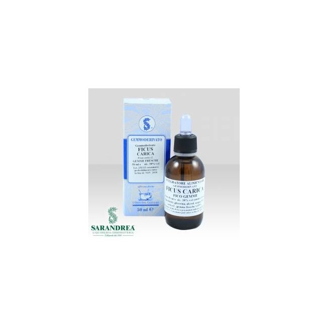 Ficus carica gemme 100 ml macerato glicerico
