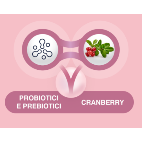 Bioritmon Cysti Defend 10 bustine