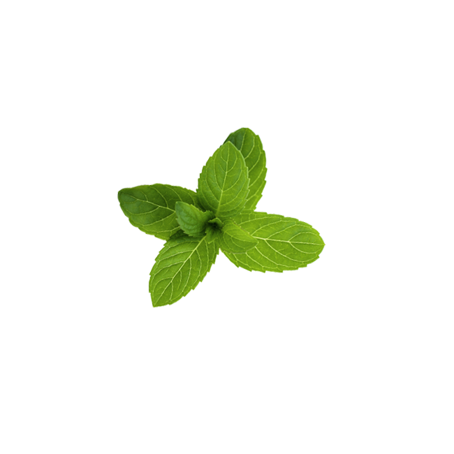 Klorane polvere purificante menta acquatica 50 g