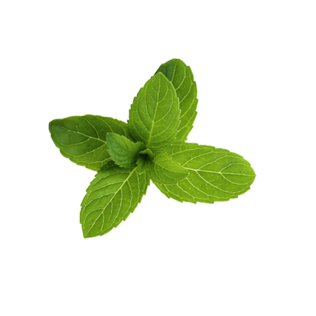 Klorane polvere purificante menta acquatica 50 g