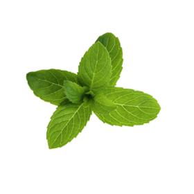 Klorane maschera stick purificante menta acquatica 25 g