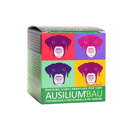 Ausilium Bau 100 G