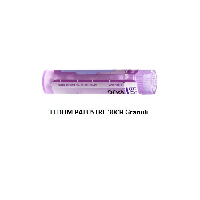 Boiron Ledum Palustre Boi 30ch Gr 4g