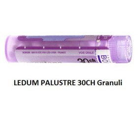 Boiron Ledum Palustre Boi 30ch Gr 4g