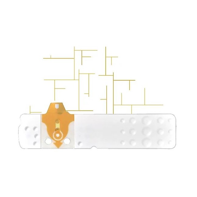 Bioseven Strisce Misurazione Glicemia Linea D Oro 50 Pezzi
